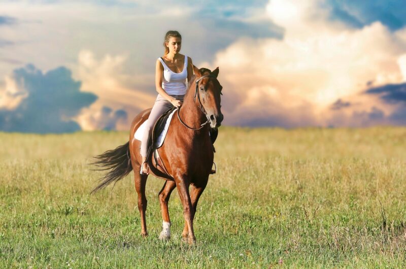 woman, horseback riding, field