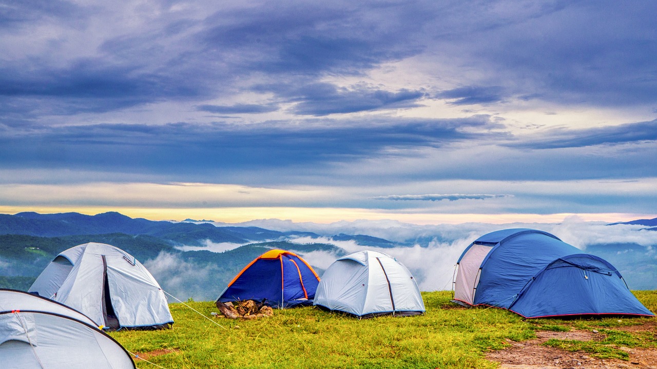 camping, campsite, tents